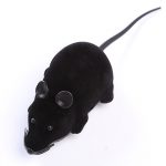 black mouse