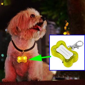 Dog LED Collar Pendant