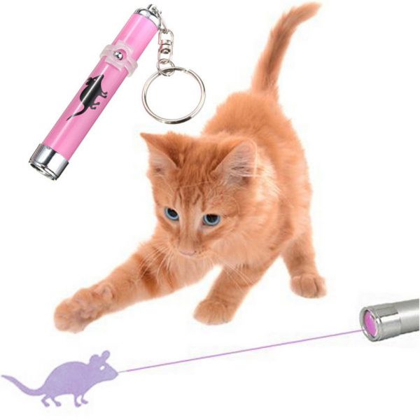 led laser pointer cat toy